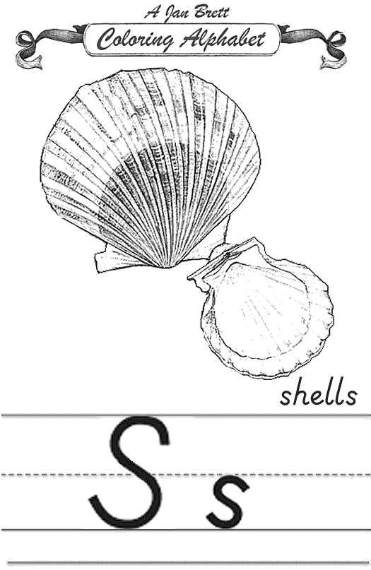 Shells