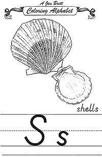 Shells