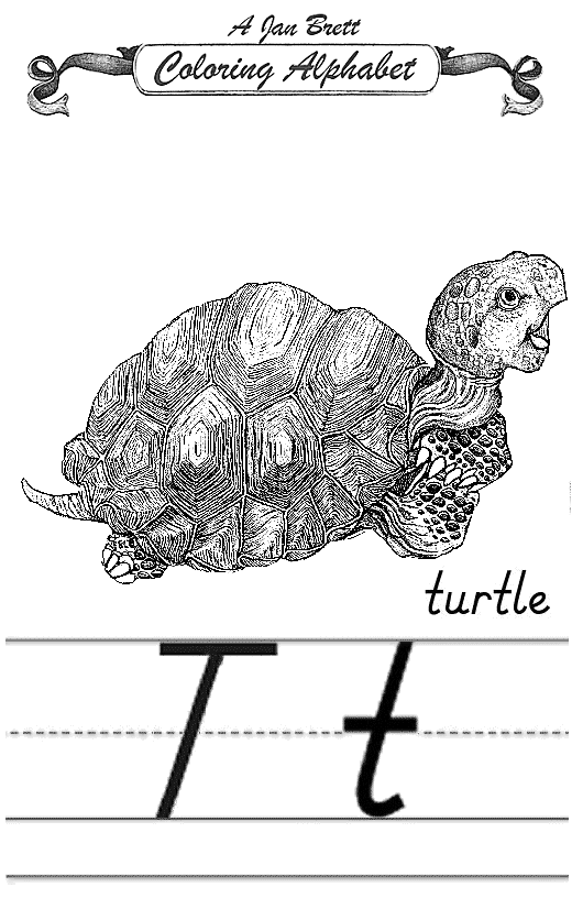 Turtle