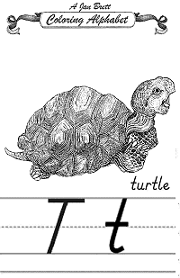 Turtle