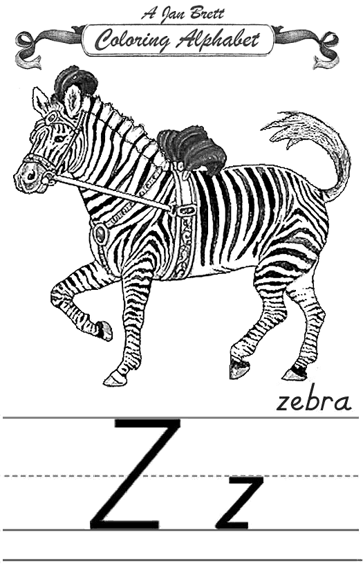 Zebra