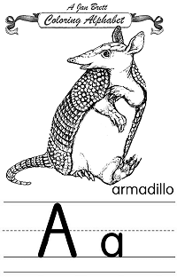 Armadillo