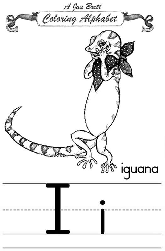 Iguana