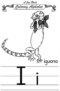 Iguana