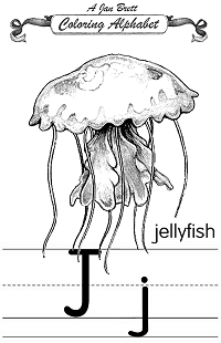 Jellyfish