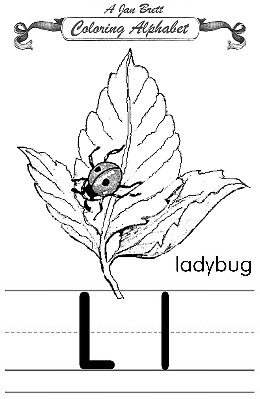 Ladybug