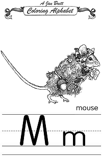 Mouse