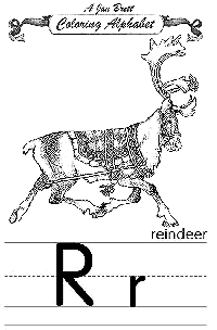 Reindeer