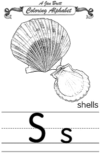 Shells