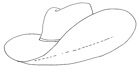 Cowboy Hat