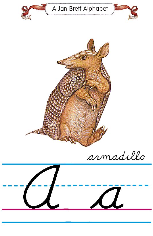 A armadillo