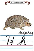 Cursive alphabet H hedgehog
