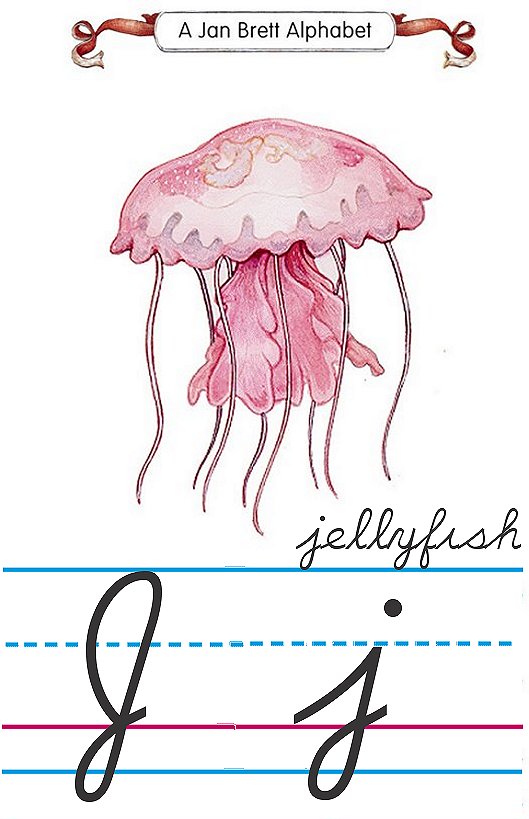 Cursive alphabet J jellyfish