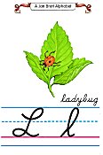 Cursive alphabet L ladybug