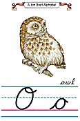 Cursive alphabet O owl