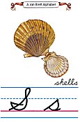 Cursive alphabet S shells