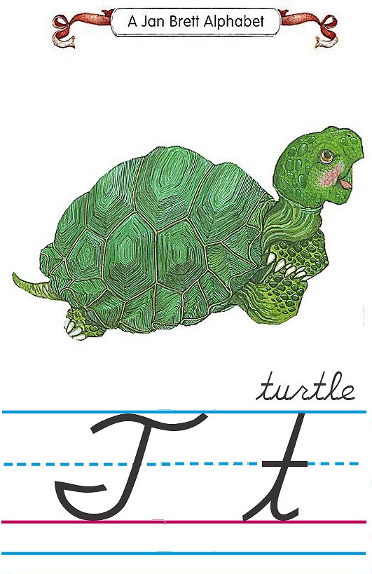 Cursive alphabet T turtle