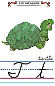 Cursive alphabet T turtle