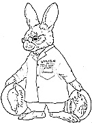 Biologist Solomon Bunny small size