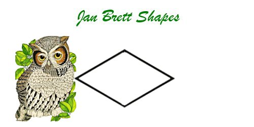 Jan Brett Geometric Shapes Flash Cards Diamond