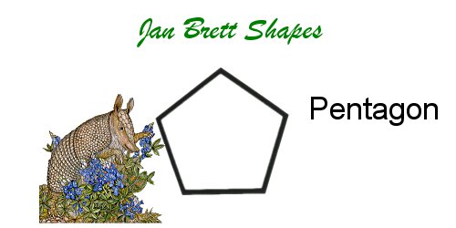 Jan Brett Geometric Shapes Flash Cards Pentagon Answer