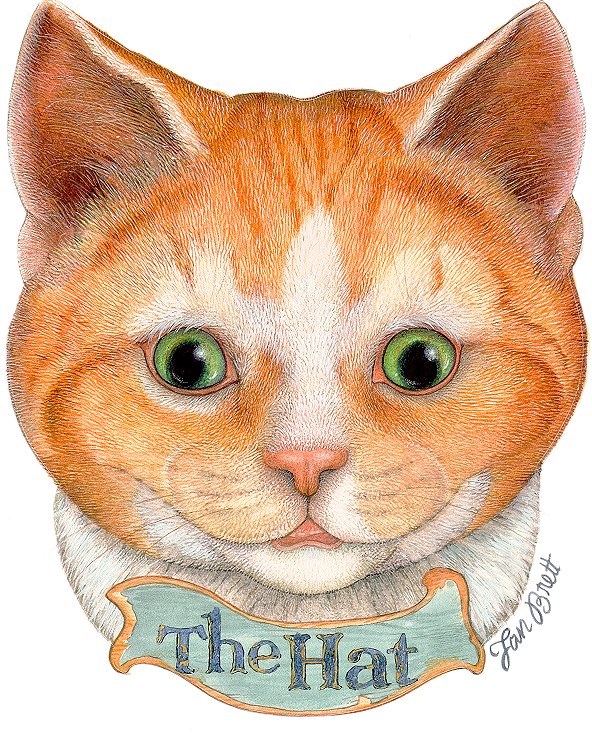 The Cat