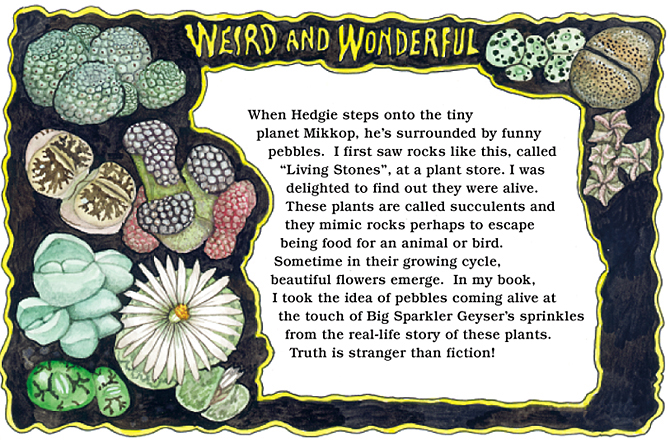 Weird and Wonderful