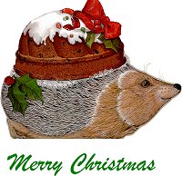 Hedgie's Christmas Transfer