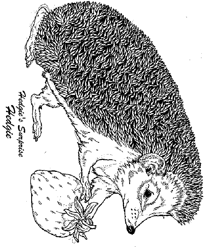 jan brett coloring pages hedgehog baby - photo #4