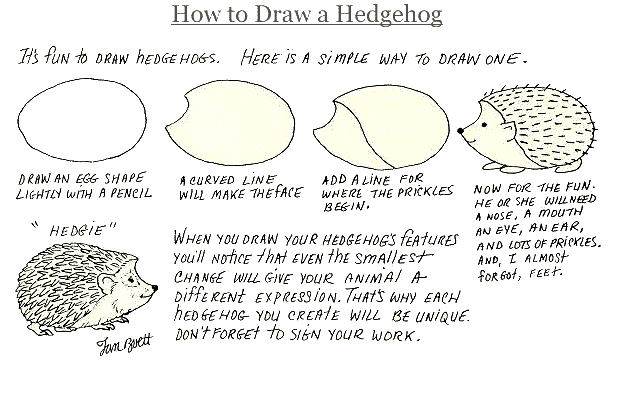 How to draw a Hedgehog