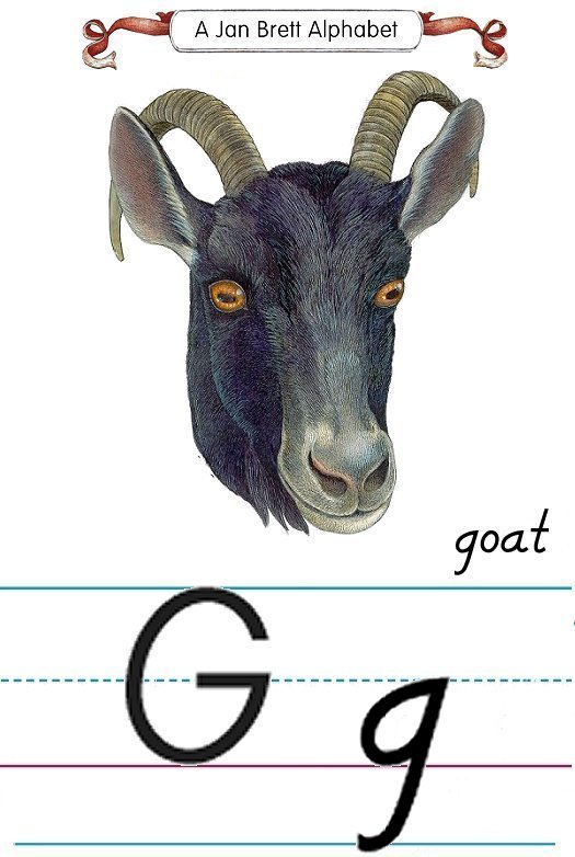 Jan Brett Modern Alphabet Letter G Goat