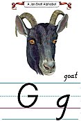 Jan Brett Modern Alphabet Letter G Goat