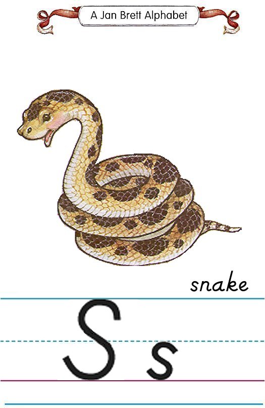 Jan Brett Modern Alphabet Letter S Snake
