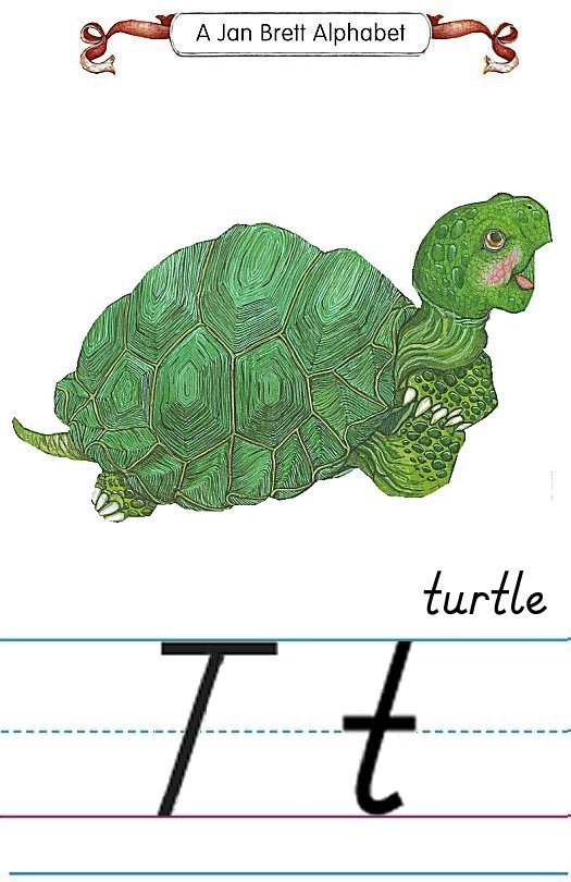 Jan Brett Modern Alphabet Letter T Turtle