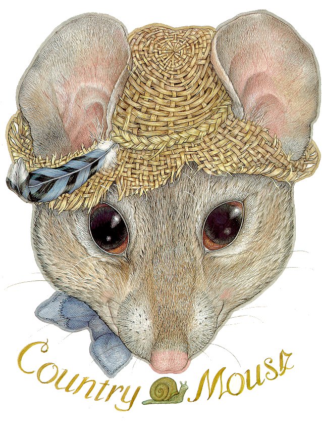 Mr. Country Mouse