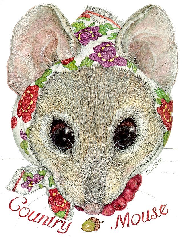 Mrs. Country Mouse