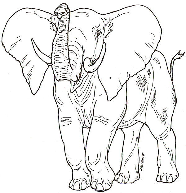Mural Honey Honey Lion Elephant
