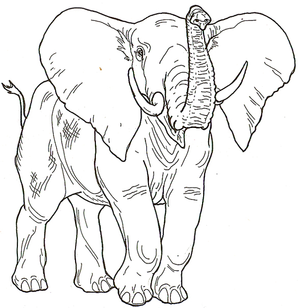 Mural Honey Honey Lion Elephant