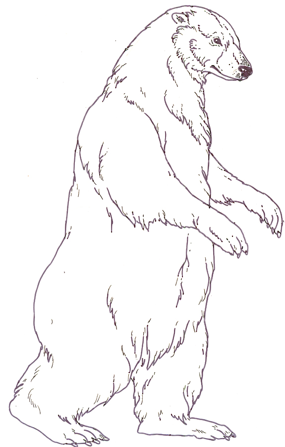 Three Snow Bears Mother Bear reversed