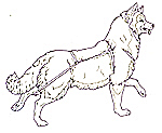 Three Snow Bears Sled Dog Running small size