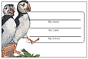 Bird Name Tags