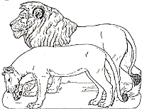 On Noah's Ark Lions