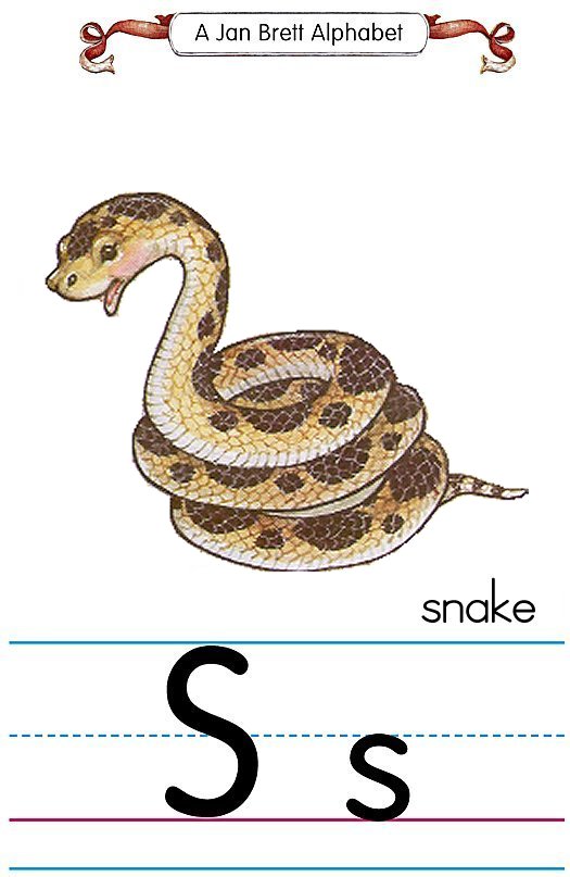 Jan Brett Alphabet Letter S Snake