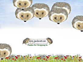 Jan Brett's Bouncy Hedgehogs