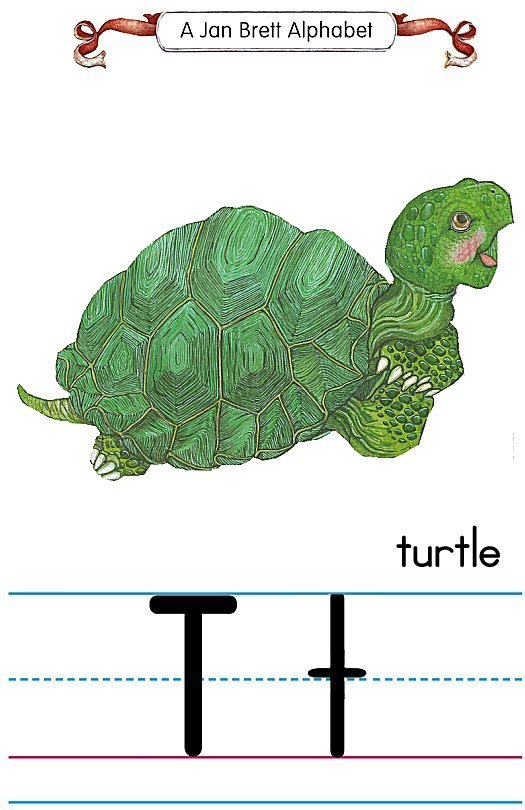 Jan Brett Alphabet Letter TTurtle