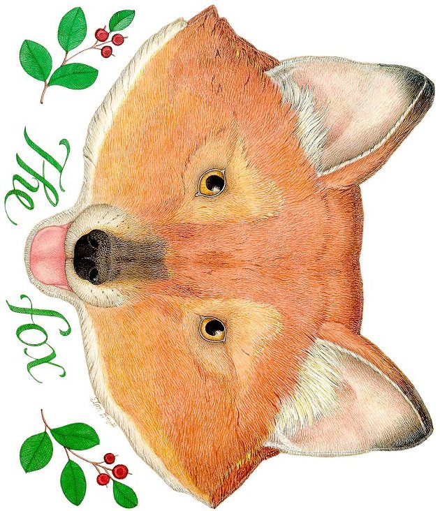 The Fox Mask