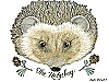 Hedgehog