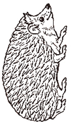 The Hedgehog reversed coloring page