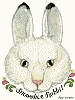 The Rabbit