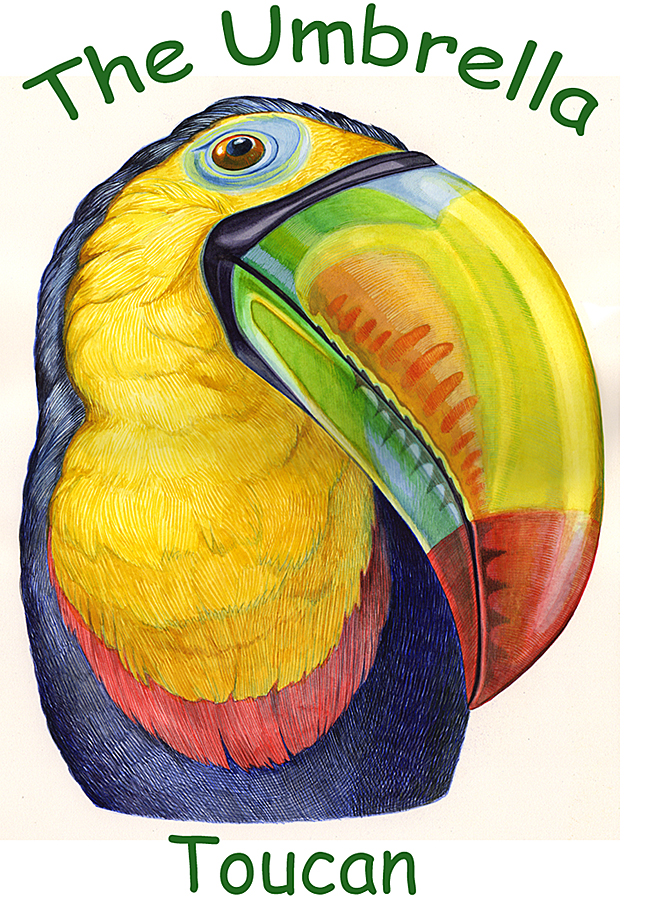 Umbrella Masks Toucan